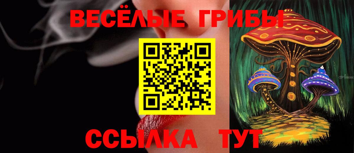 Псилоцибиновые грибы Psilocybe Чебаркуль